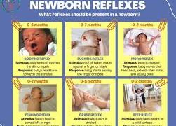 Naujagimių refleksai
