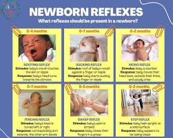 Naujagimių refleksai