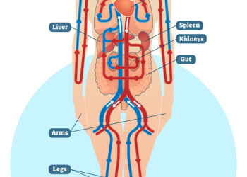 Ar egzistuoja seronegatyvinis reumatoidinis artritas?
