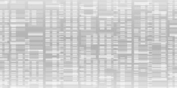 Baltymų elektroforezė šlapimo mėginyje