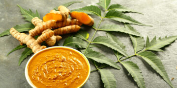 Ciberžolė odai: nauda ir galimos rizikos