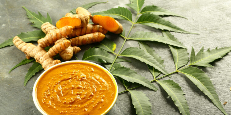 Ciberžolė odai: nauda ir galimos rizikos