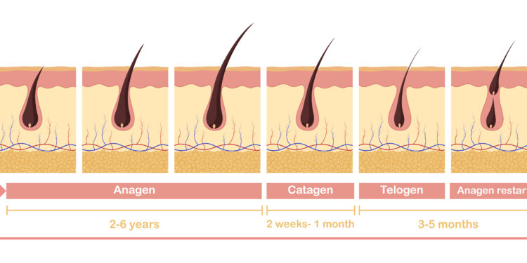 Ar furunkulai užkrečiami?