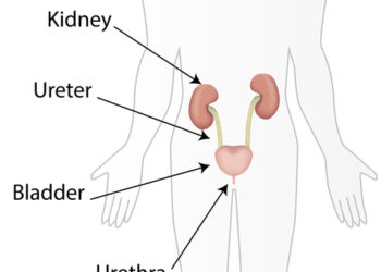 Kas yra poodiniai riebalai?