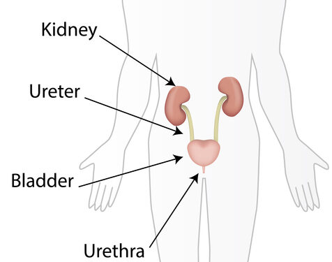 Kas yra poodiniai riebalai?