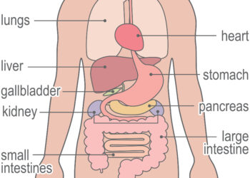 Kas yra Gardnerio sindromas?