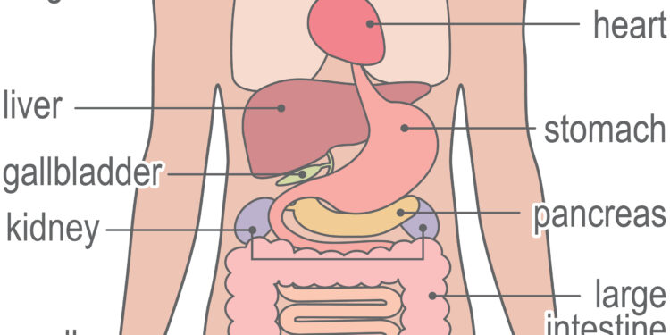 Kas yra Gardnerio sindromas?