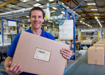 Svarbiausia apie vilkligės cistitą