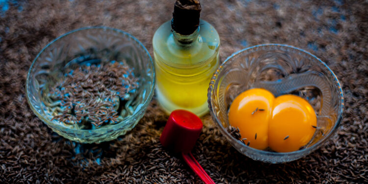 Kiaušinio trynys plaukų priežiūrai