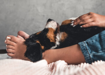 Ar saugu žindyti, jei sergate žmogaus papilomos virusu (ŽPV)?