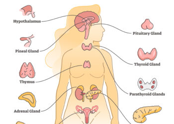 Ryšys tarp menopauzės ir šlapimo takų infekcijų
