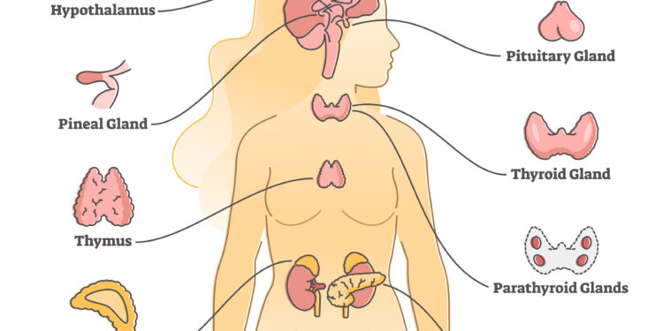 Ryšys tarp menopauzės ir šlapimo takų infekcijų