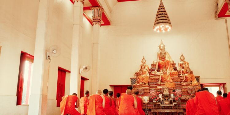 Hidrokodono priklausomybė: kaip ją atpažinti ir suprasti