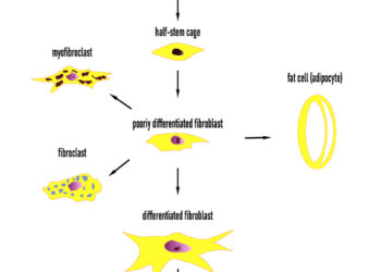 Suprasti Staphylococcus aureus sukeltą apsinuodijimą maistu