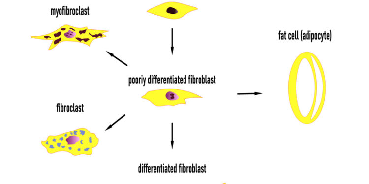 Suprasti Staphylococcus aureus sukeltą apsinuodijimą maistu