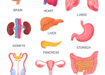 Intersticinio cistito simptomai