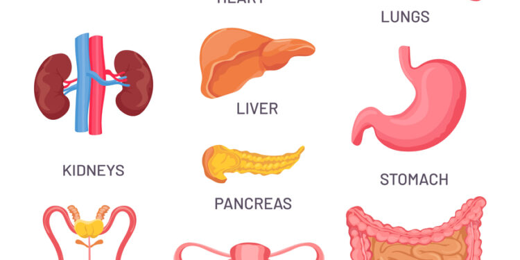 Intersticinio cistito simptomai