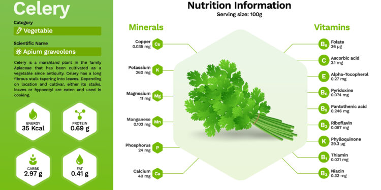 Rozmarino nauda sveikatai