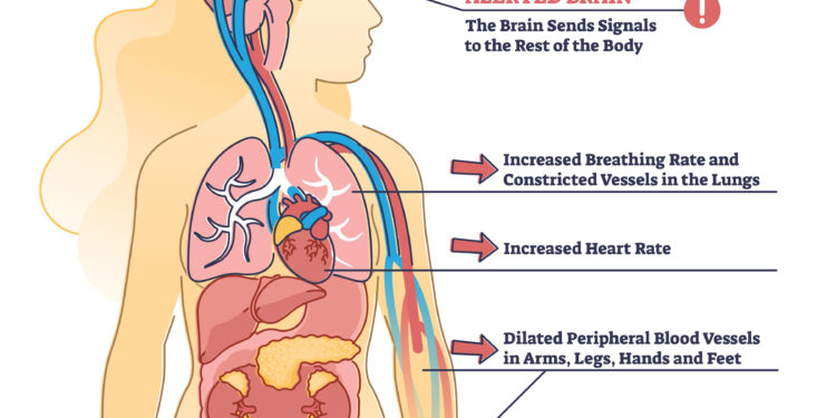 Viskas, ką reikia žinoti apie hiperspermiją