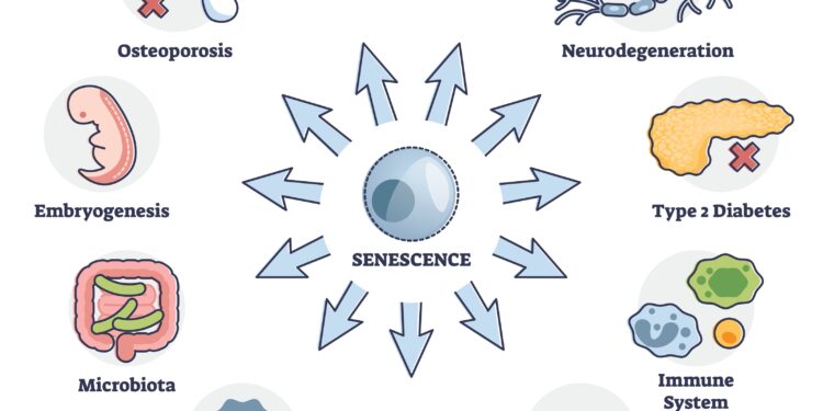 Kaip atpažinti furunkulą: kuo jis skiriasi nuo cistos ir karbunkulio