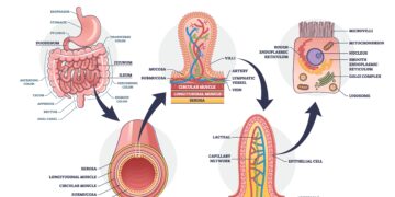 Jungiamasis audinys 02