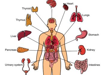 Vizitas pas endokrinologą: ko tikėtis