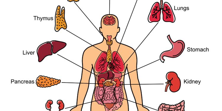 Vizitas pas endokrinologą: ko tikėtis