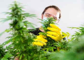 Svarbu žinoti: patikrinkite kanapes dėl pelėsio