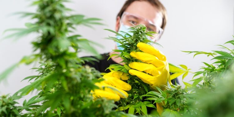 Svarbu žinoti: patikrinkite kanapes dėl pelėsio