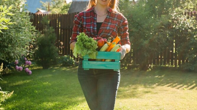 Žmogaus leukocitų antigenas B27 (HLA-B27)