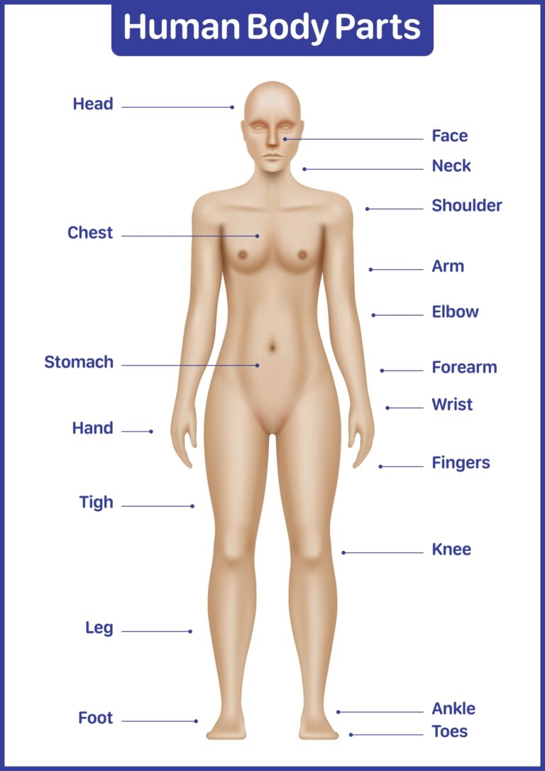 Devynių taisyklė: kam ji taikoma?