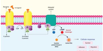 Technologijų ir gydymo priemonių pažanga sergant stuburo raumenų atrofija