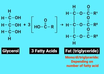 Trigliceridų ir gliukozės kiekio kraujyje sąsaja: koks jų ryšys?