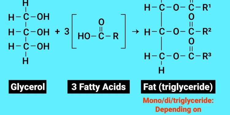 Trigliceridų ir gliukozės kiekio kraujyje sąsaja: koks jų ryšys?