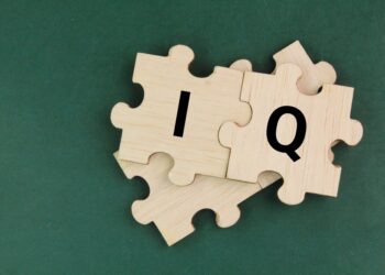 Intelekto koeficiento (IK) testavimas