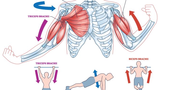 Kodėl po treniruotės jaučiuosi prastai?