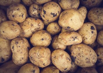 Ar bulvėse yra glitimo?