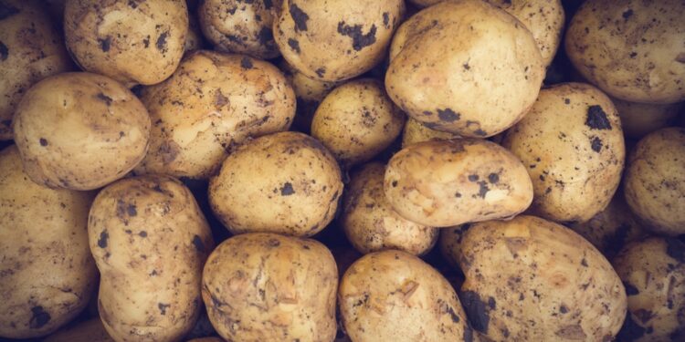 Ar bulvėse yra glitimo?