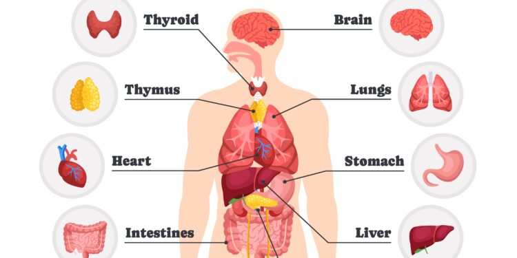 Ar įmanoma susirgti plaučių vėžiu neturint kosulio?