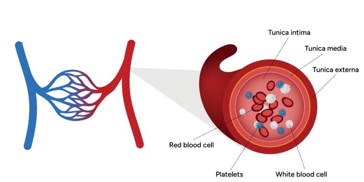 Žmogaus placentos laktogenas: ką jis gali pasakyti apie jūsų nėštumą