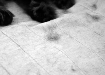 Poliesterio alergija