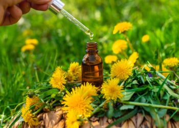 Arbatmedžio aliejus nuo pleiskanų