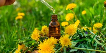 Arbatmedžio aliejus nuo pleiskanų