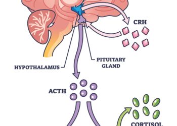 Protai, kaulai ir boras