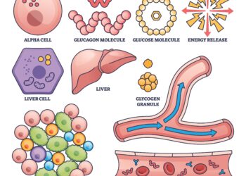 Galimos TBHQ keliamos grėsmės