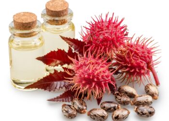 Ar ricinų aliejus gali padėti pastorinti antakius?