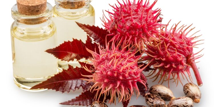 Ar ricinų aliejus gali padėti pastorinti antakius?