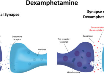 Kas yra daliniai opioidų agonistai?