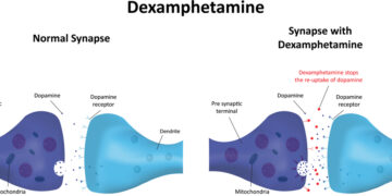 Kas yra daliniai opioidų agonistai?