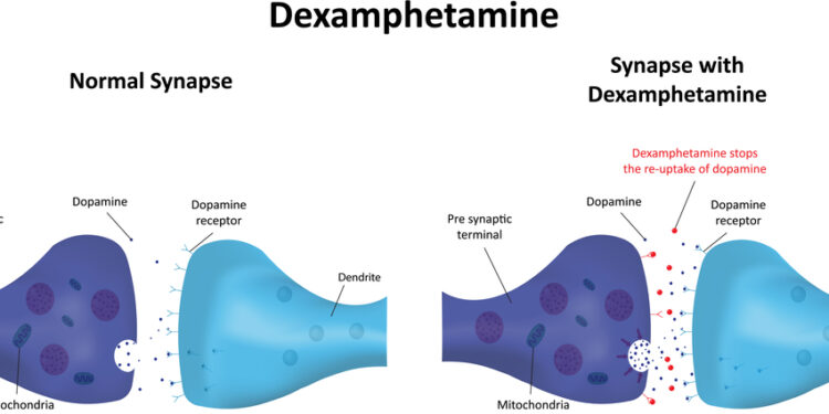 Kas yra daliniai opioidų agonistai?